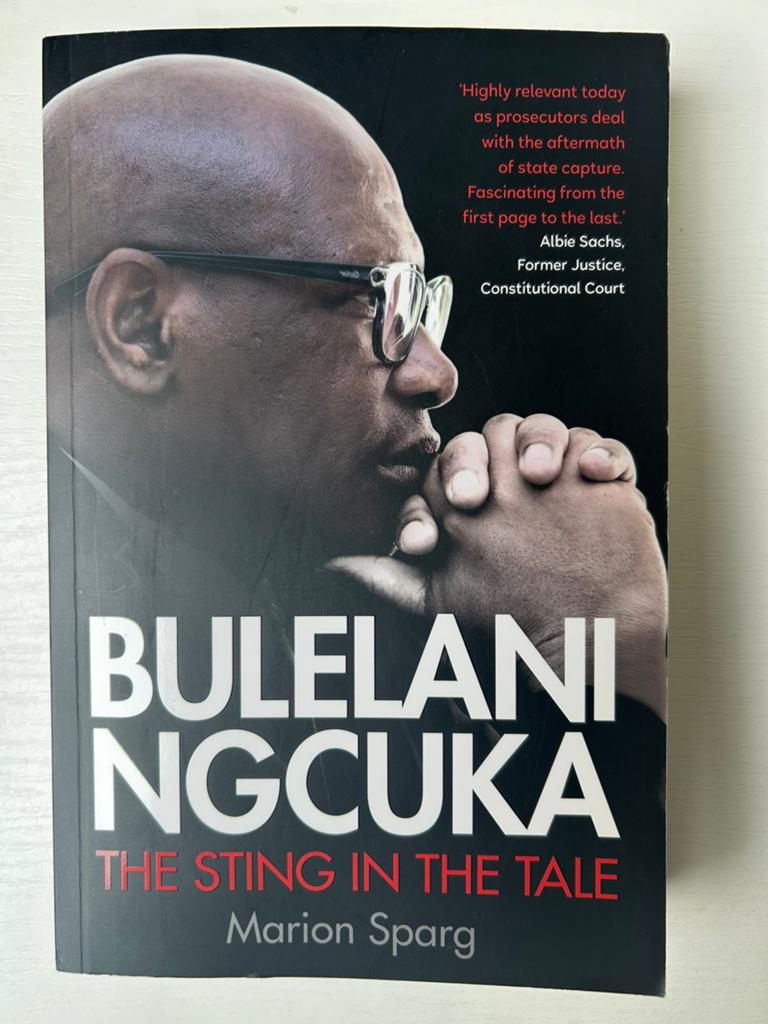 Bulelani Ngcuka The Sting in the Tale Marion Sparg, Boeken, Ophalen of Verzenden, Gelezen