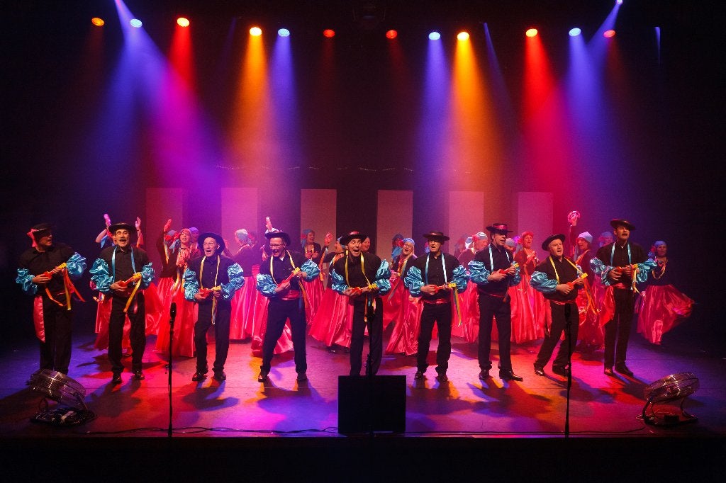 satijnen roze carnavalsrokken, sleeves en banjo's, Ophalen, Zo goed als nieuw, Kostuum, Carnaval