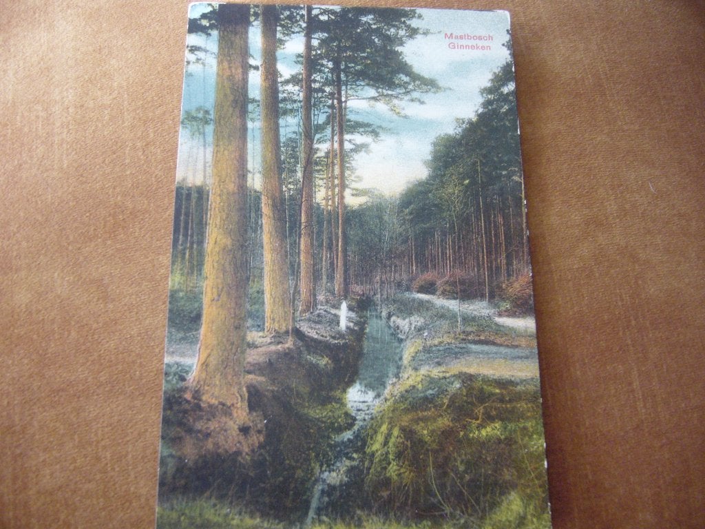 GINNEKEN  =   MASTBOSCH  BRIEFKAART 1913, Ophalen of Verzenden, Voor 1920, Gelopen, Noord-Brabant