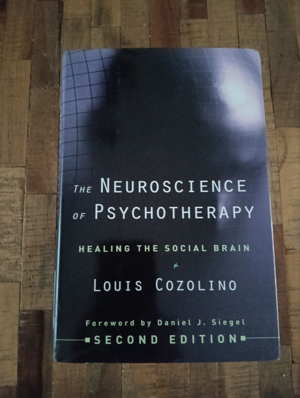 The Neuroscience of Psychotherapy - Louis Cozolino, Ophalen of Verzenden, Zo goed als nieuw, Klinische psychologie, Louis Cozolino