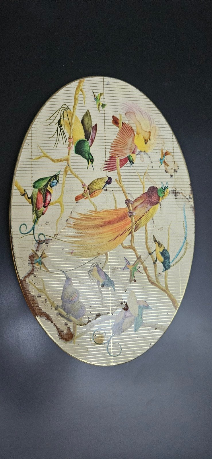 Vintage COTE D'OR blikken doos met vogels (29x19 cm), Verzamelen, Ophalen of Verzenden, Gebruikt, Koek(jes), Overige merken
