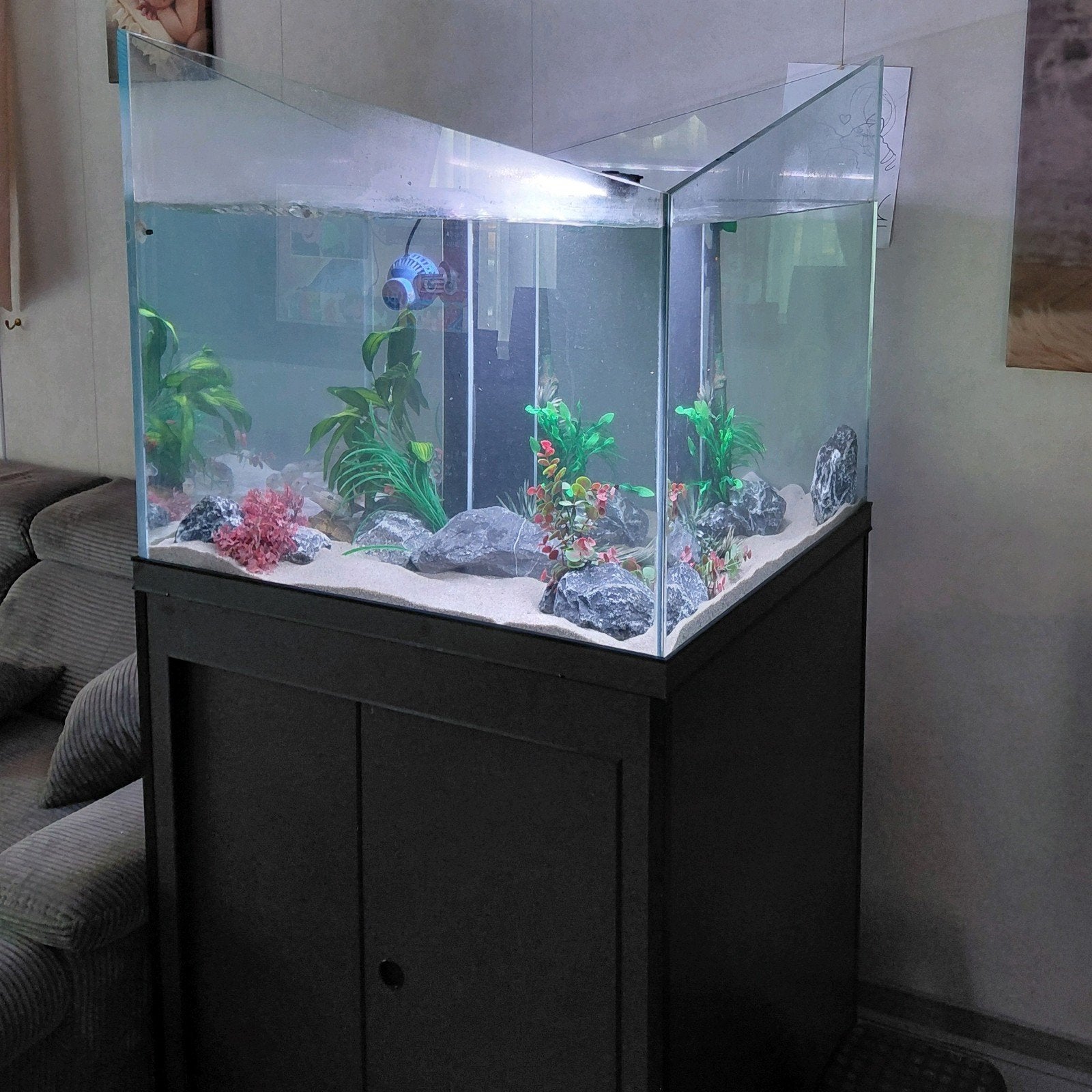 Aquariums + diverse toebehoren – alles in één koop!, Ophalen, Gebruikt, Leeg aquarium