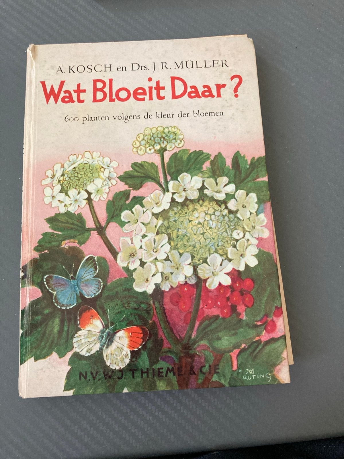 Wat Bloeit Daar? - 600 planten volgens kleur, Boeken, Natuur, Ophalen of Verzenden, Gelezen, Bloemen, Planten en Bomen
