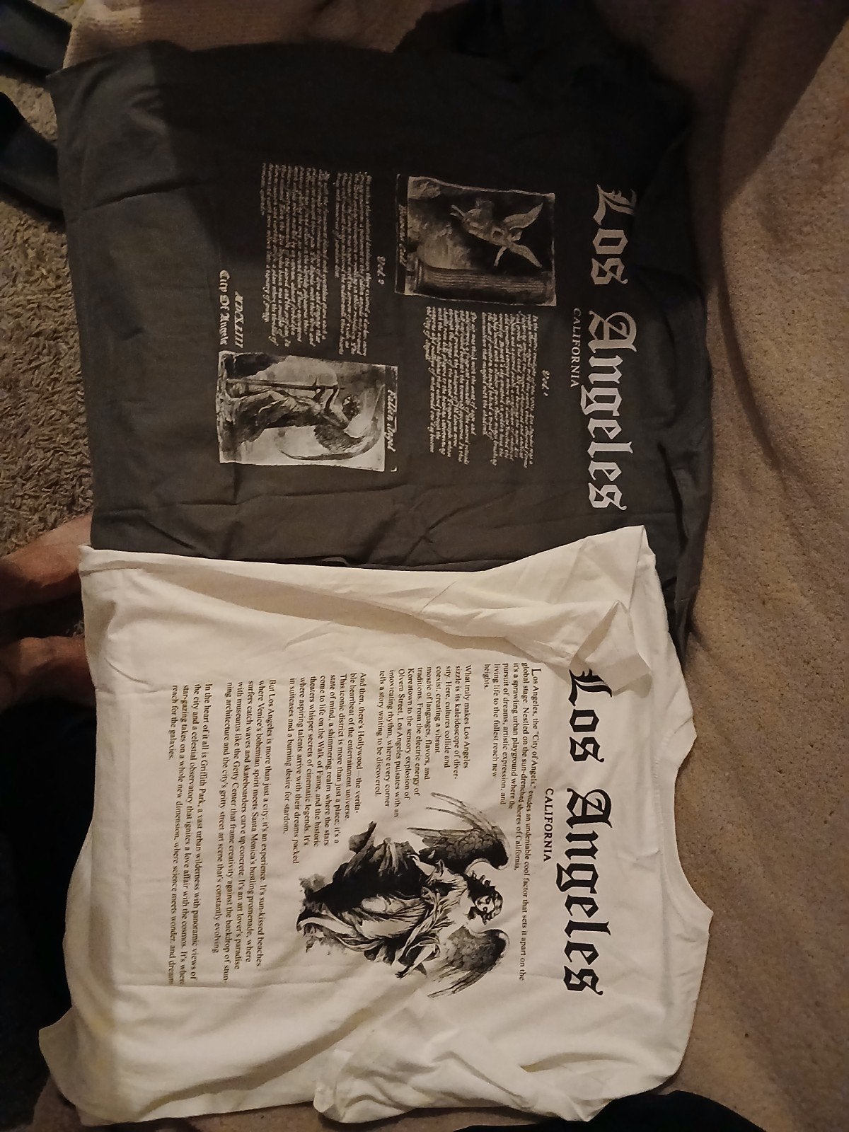 2 tshirts van Los Angeles schoon, Kleding | Heren, T-shirts, Ophalen, Maat 52/54 (L), Overige kleuren, Gedragen