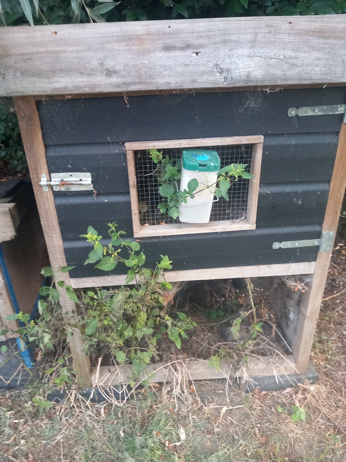 konijnenhok buiten cavia hok HOK konijn, Ophalen, 90 cm of meer, Konijn, Hok