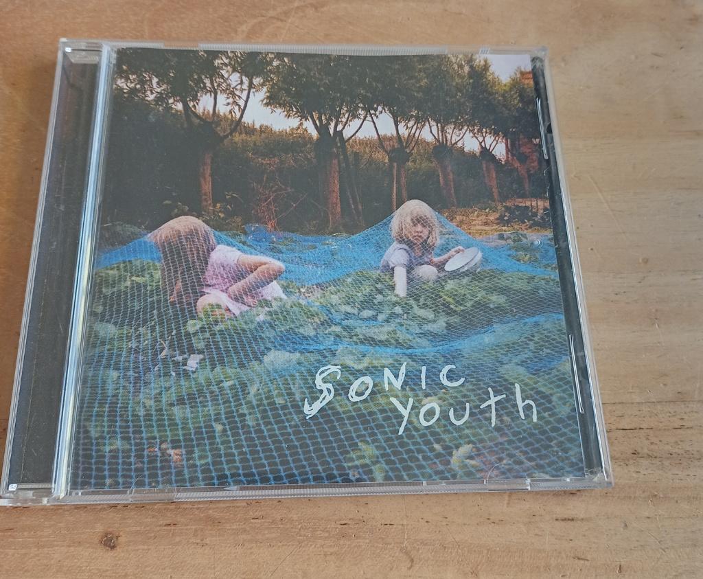 Cd Sonic Youth - Murray Street, Ophalen of Verzenden, 2000 - 2009, Gebruikt