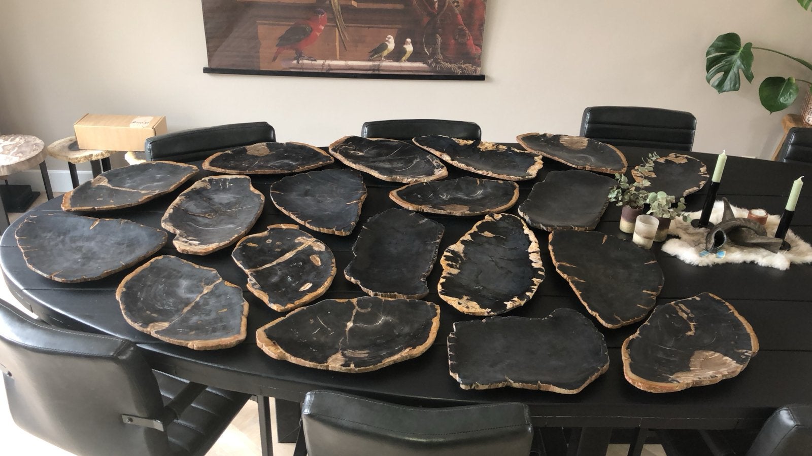 Versteend Hout Schalen - Diverse Varianten, Ophalen of Verzenden