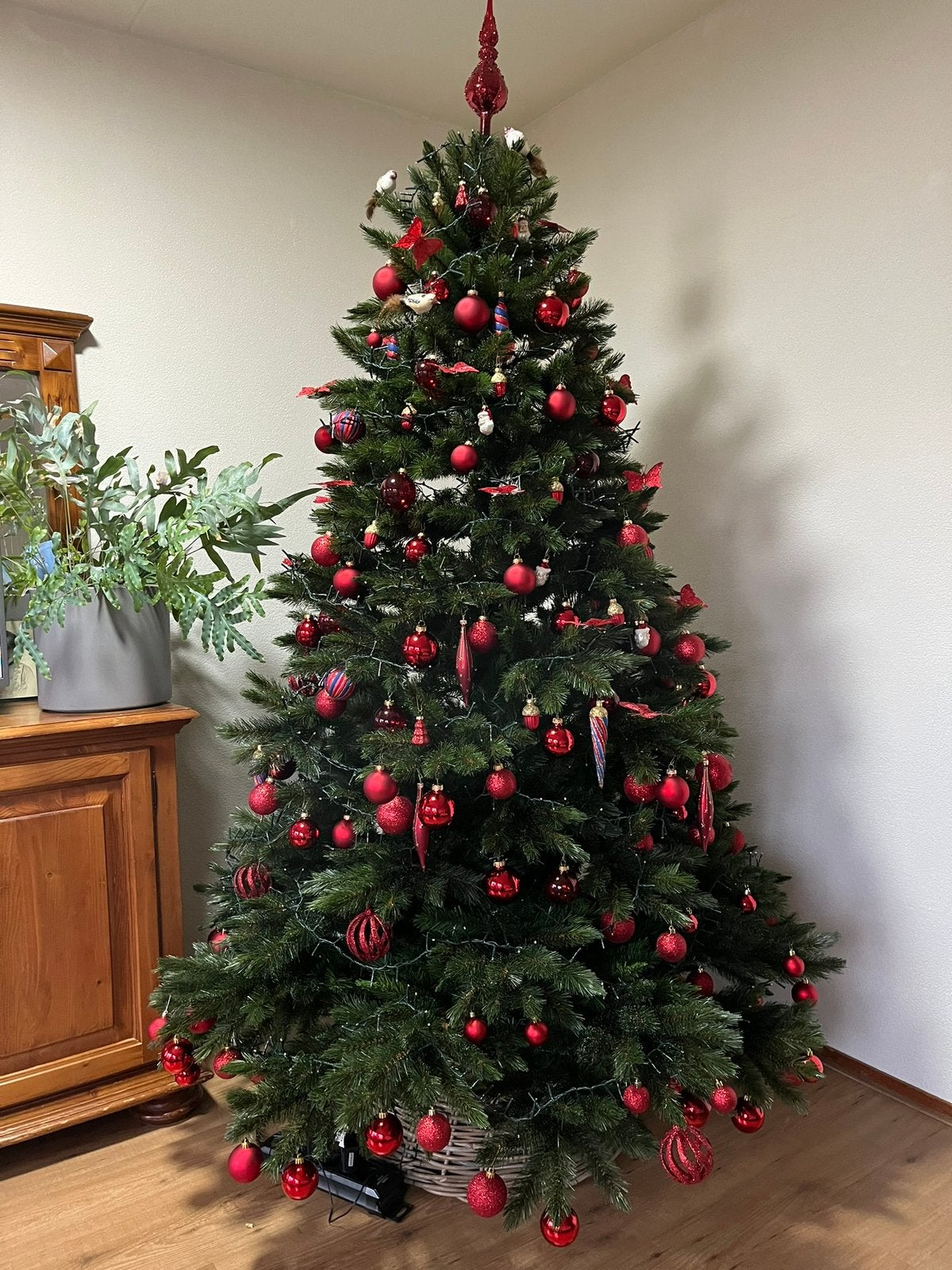 Kerstboom Triumph Tree 215, Ophalen, Zo goed als nieuw