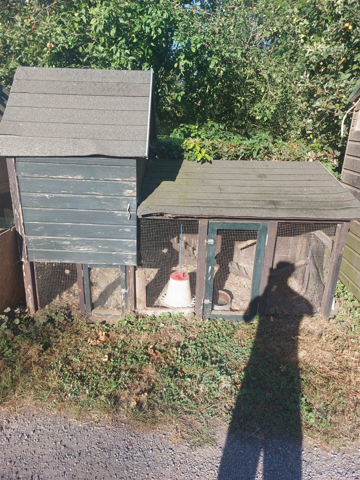 kippenhok - gratis, Dieren en Toebehoren, Pluimvee | Toebehoren, Ophalen, Gebruikt, Kippenhok of Kippenren