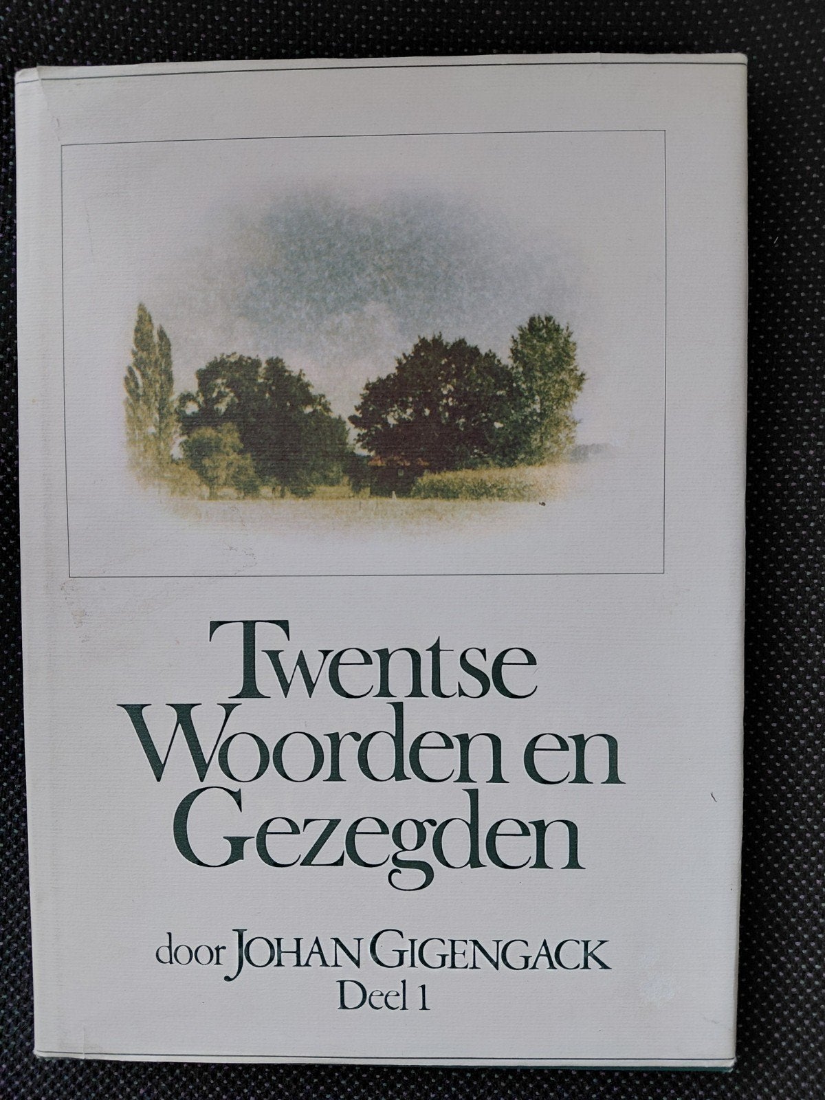 Twentse Woorden en Gezegden - Deel 1 door Johan Gigengack, Ophalen of Verzenden, Zo goed als nieuw, Johan Gigengack, Nederland
