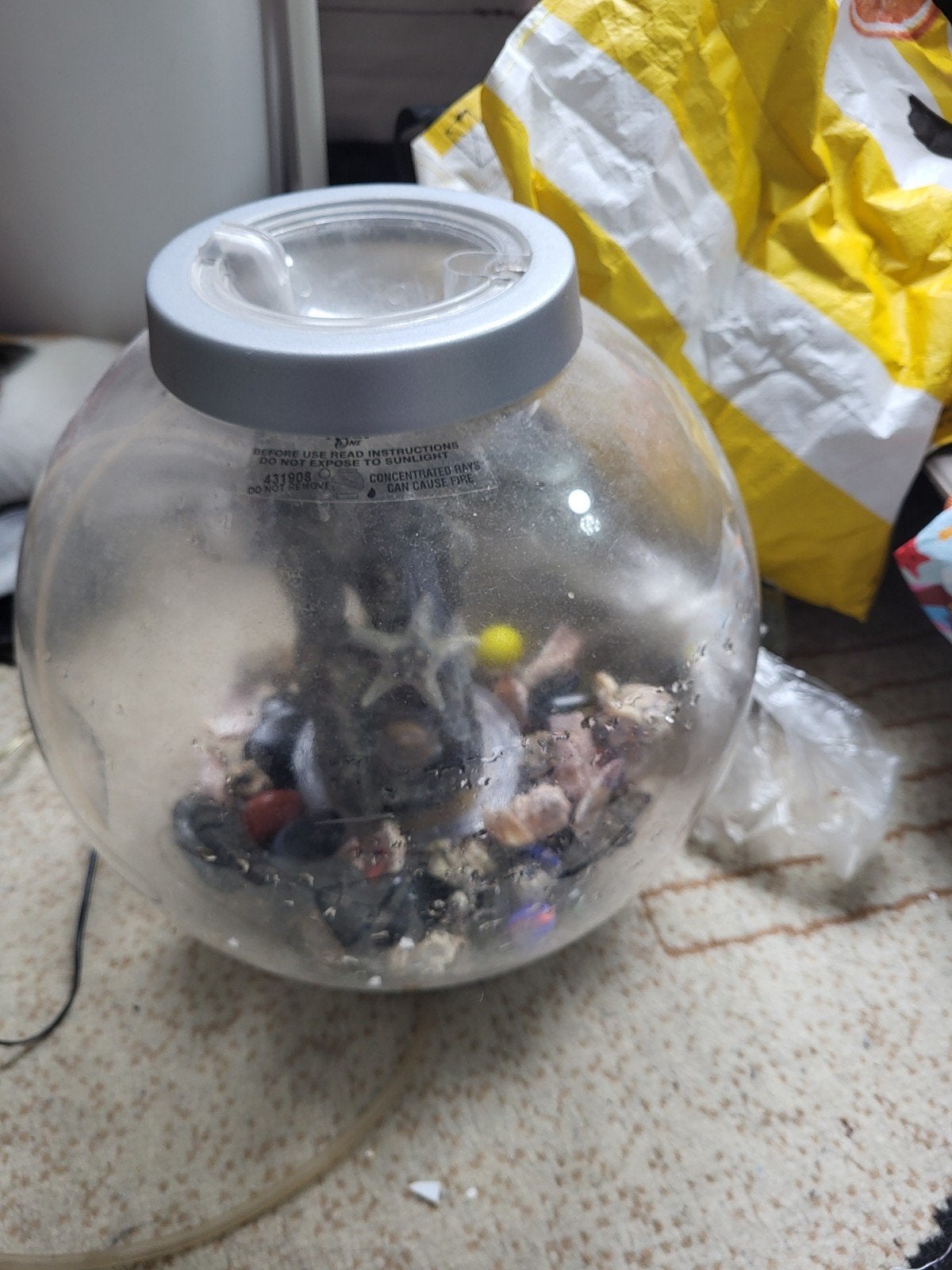 biorb aquarium met veel aquarium spullen, Dieren en Toebehoren, Vissen | Aquaria en Toebehoren, Ophalen of Verzenden