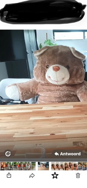 Grote knuffelbeer uit rookvrij huis, Kinderen en Baby's, Speelgoed | Knuffels en Pluche, Ophalen, Beer, Zo goed als nieuw, Bruin