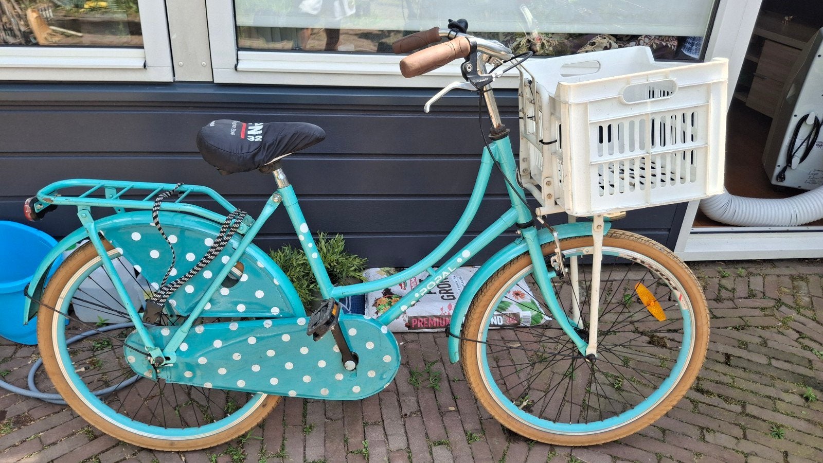 Fiets met mandje en vrolijke stippen, Terugtraprem, Gebruikt, 50 tot 53 cm, Ophalen