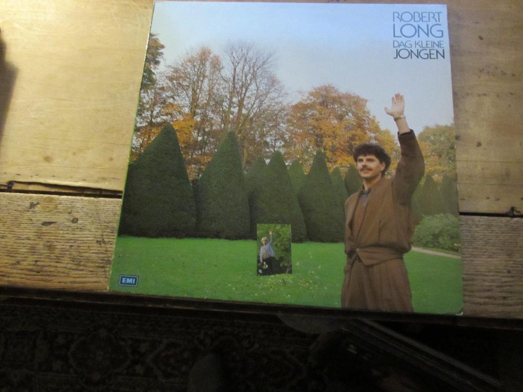 Robert Long. Dag kleine jongen.  LP0126, Cd's en Dvd's, Vinyl | Nederlandstalig, Gebruikt, Verzenden, Levenslied of Smartlap, 12 inch