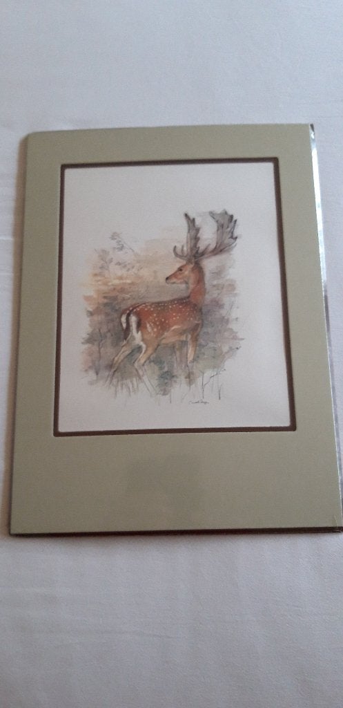 4 mooie platen / schilderij, Minder dan 50 cm, Ophalen of Verzenden, Zo goed als nieuw, Schilderij