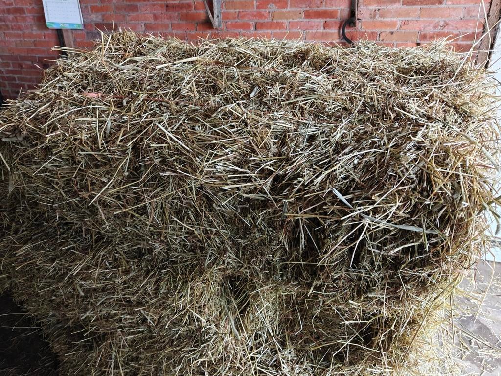 Kleine hooi pakjes!, Dieren en Toebehoren, Dierenvoeding, Ophalen, Vee