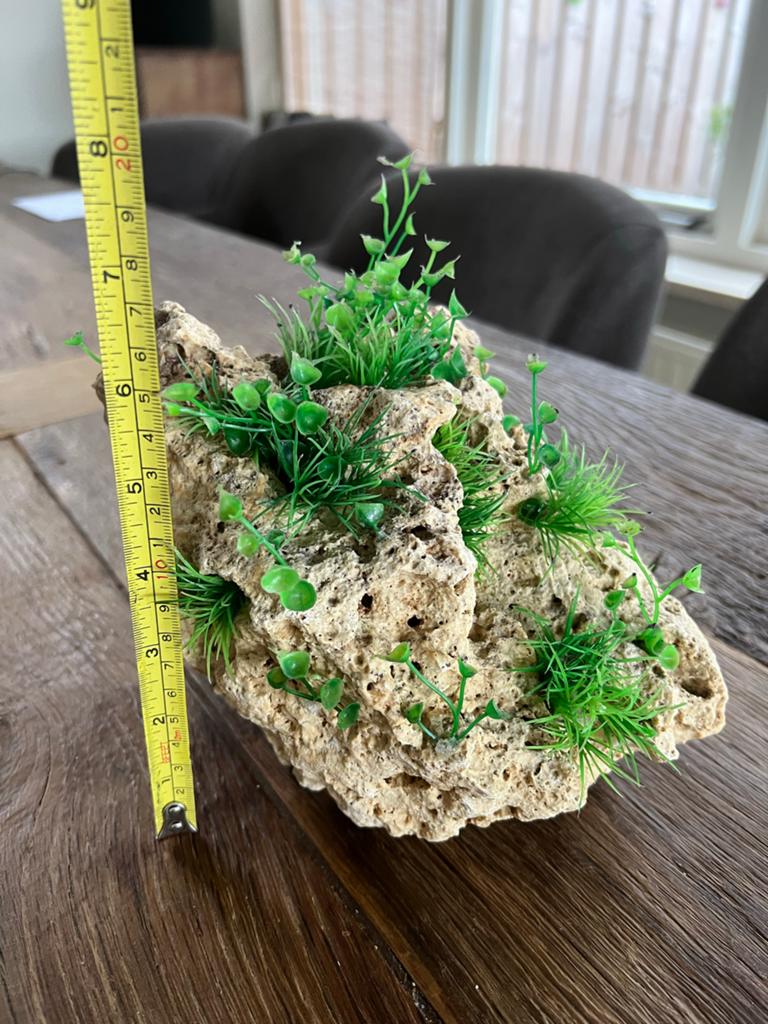 Aquarium rots, Ophalen, Zo goed als nieuw, Decoratie