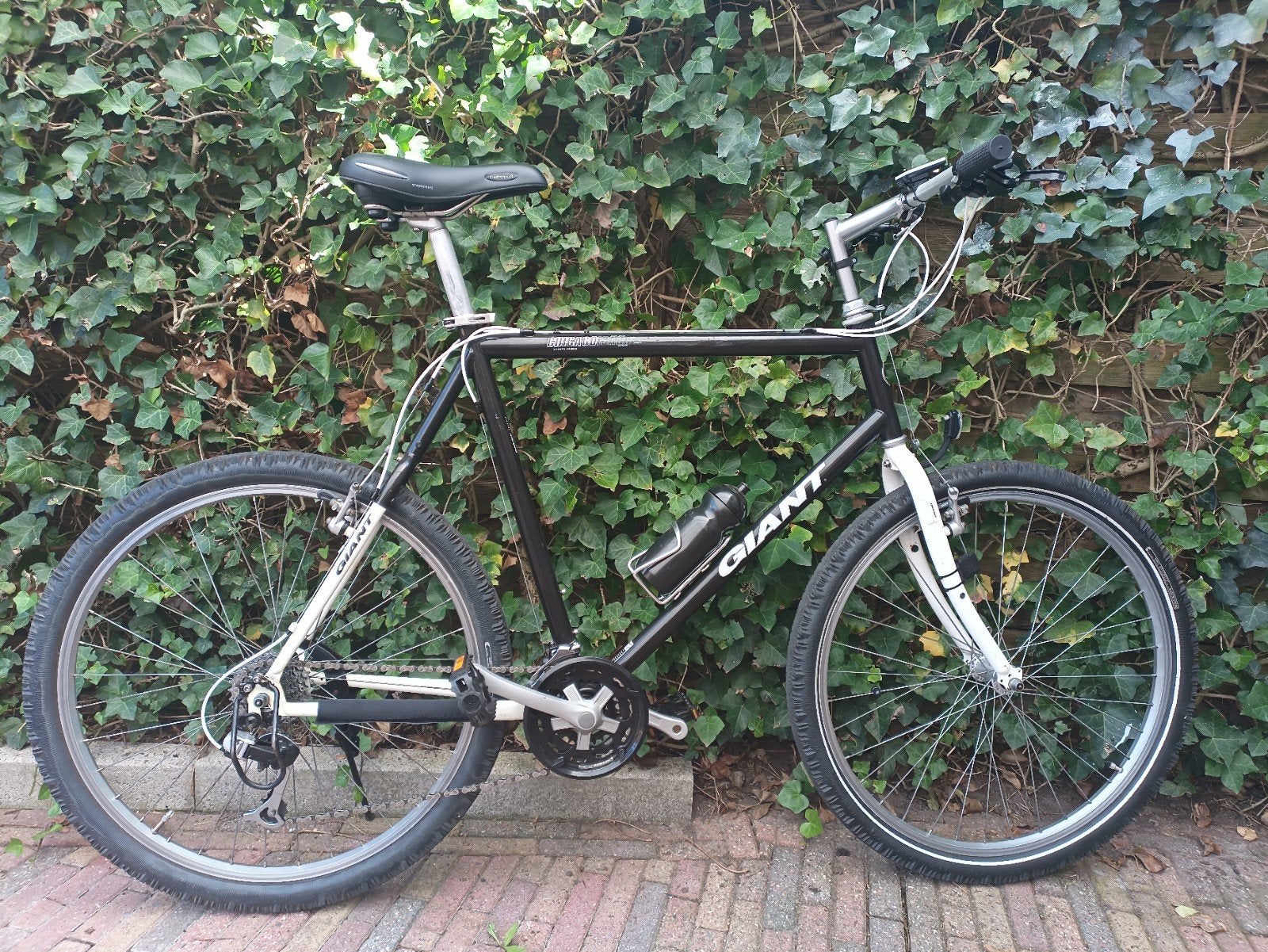 Giant ATB Fiets 21 versnellingen, 53 tot 57 cm, Ophalen, Meer dan 20 versnellingen, Giant