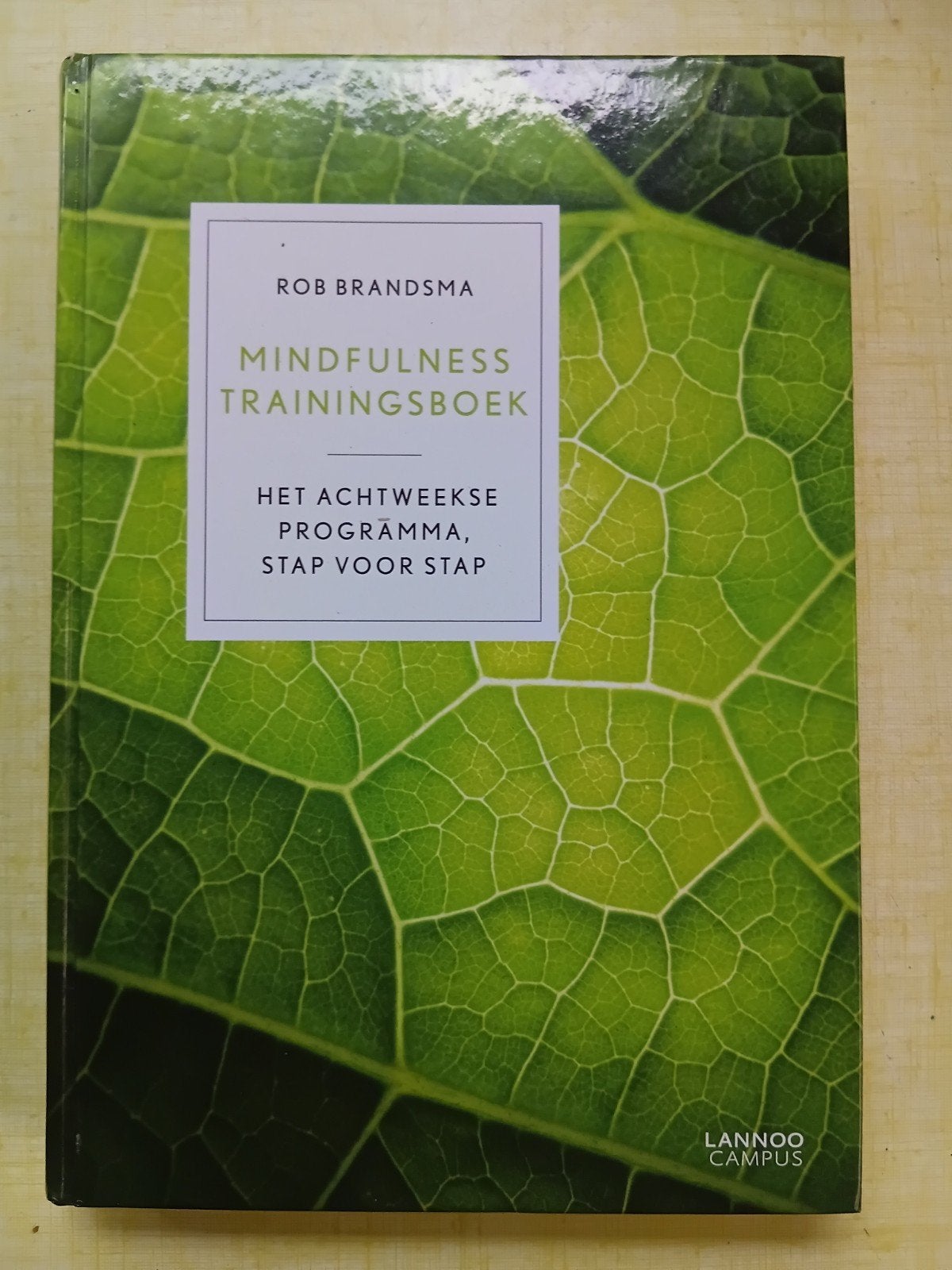 Mindfulness Trainingsboek - Rob Brandsma (Nieuwstaat), Boeken, Rob Brandsma, Nieuw, Ophalen of Verzenden, Overige uitgevers