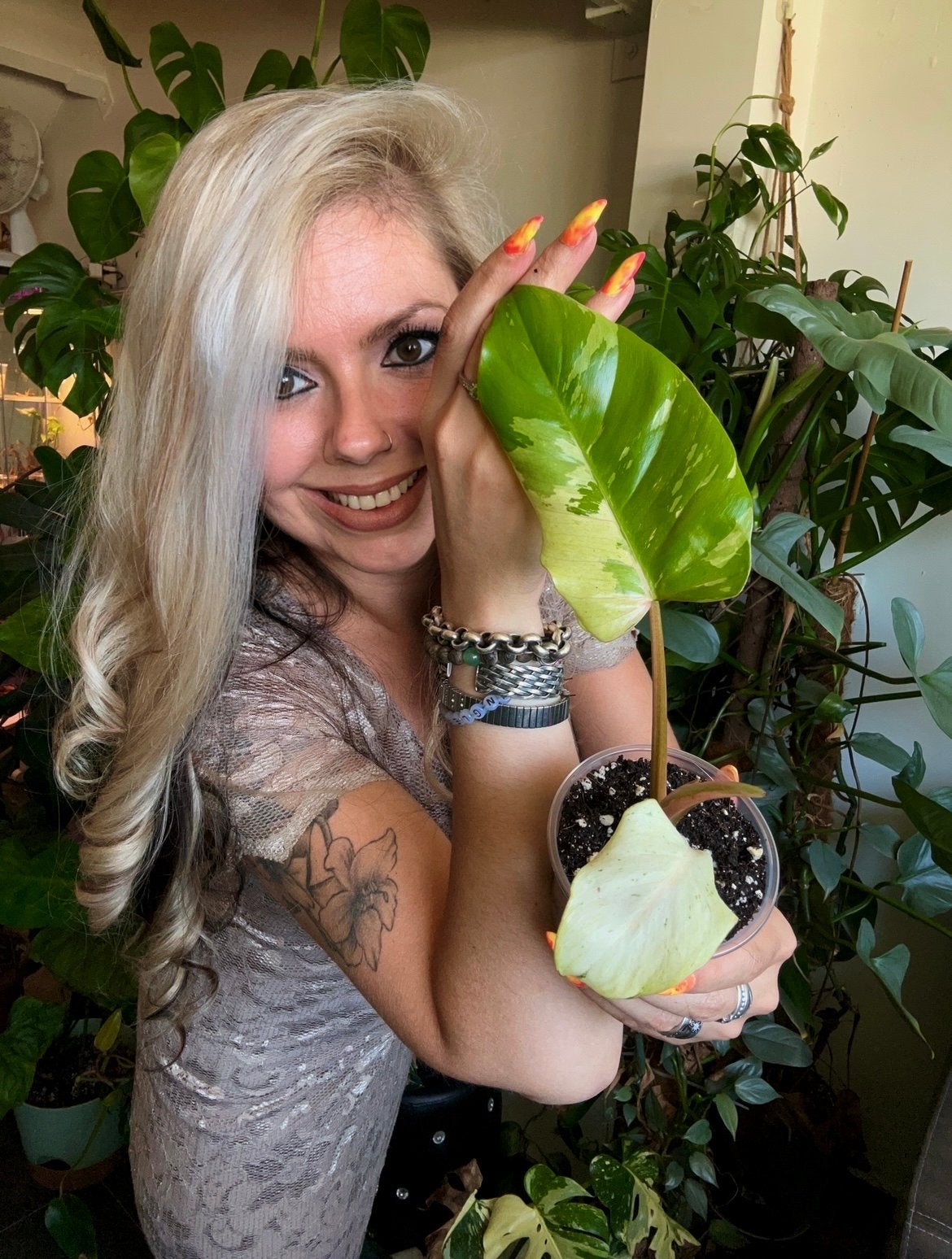 Giveaway op Instagram: junglefever_nl, Huis en Inrichting, Overige soorten, In pot, Minder dan 100 cm, Groene kamerplant