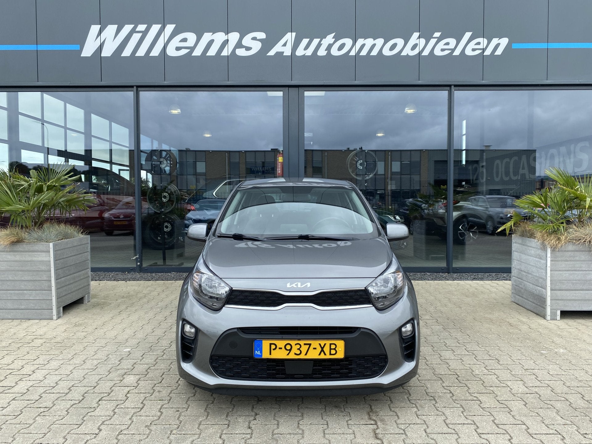 Kia Picanto 1.0 DPi DynamicLine Cruise Control, Airco & Came, Auto's, Voorwielaandrijving, Stof, Gebruikt, Met garantie (alle)