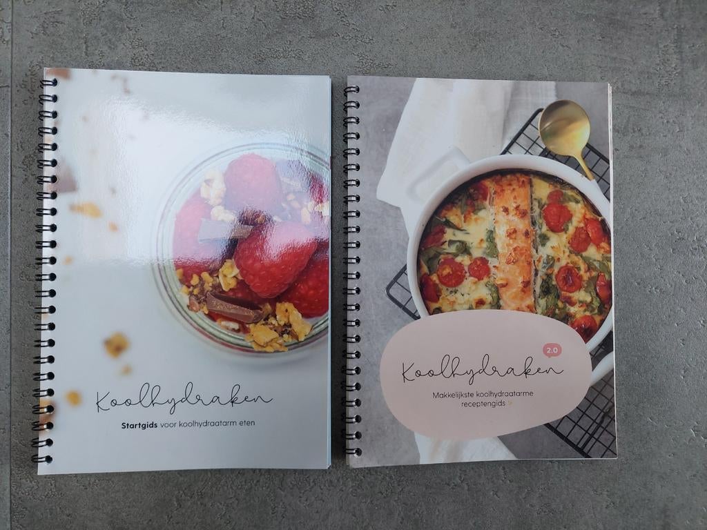 Koolhydraken Kookboeken - Startgids & Recepten 2.0, Boeken, Kookboeken, Hoofdgerechten, Ophalen of Verzenden, Zo goed als nieuw
