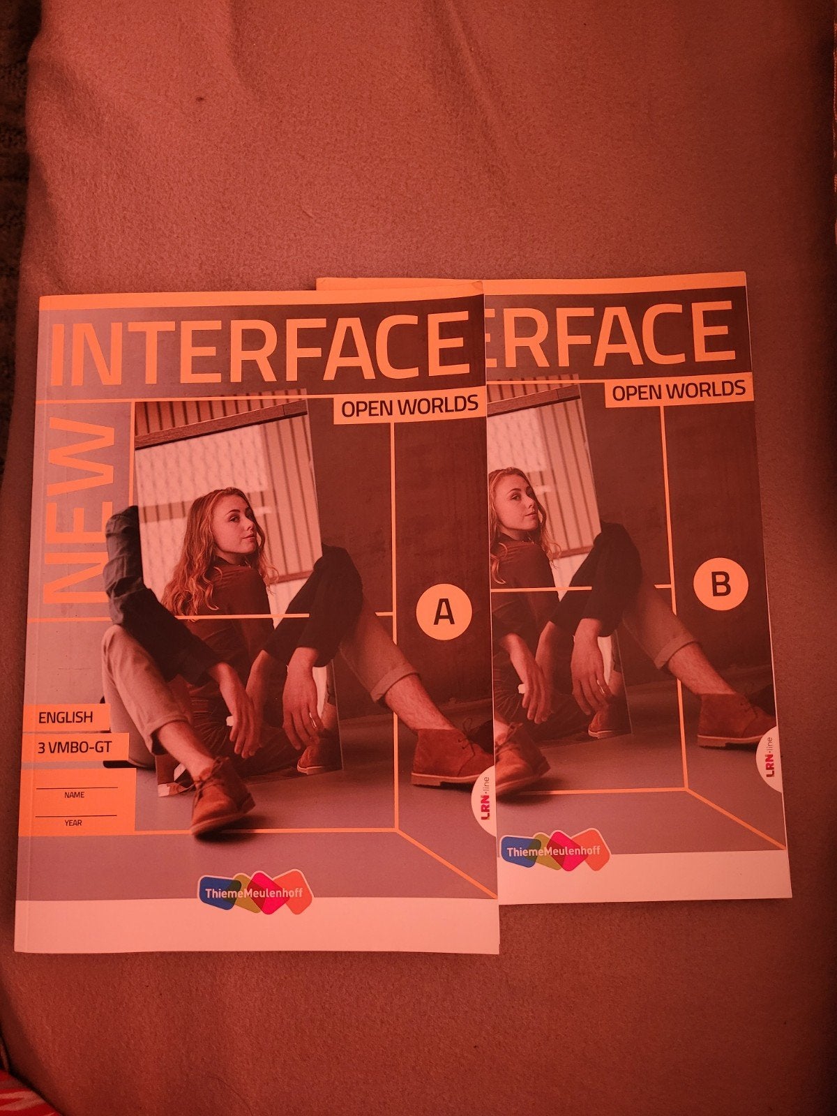 New Interface Engels 3 VMBO-GT Leerwerkboek A & B, Boeken, Schoolboeken, VMBO, Engels, Ophalen of Verzenden, Zo goed als nieuw