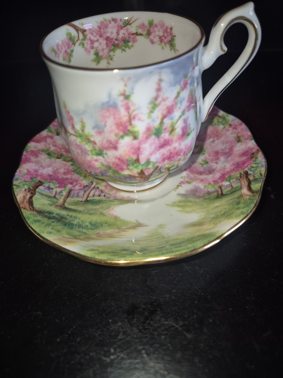 Blossom time Royal albert porselein, Ophalen of Verzenden, Zo goed als nieuw, Porselein, Kop en/of schotel