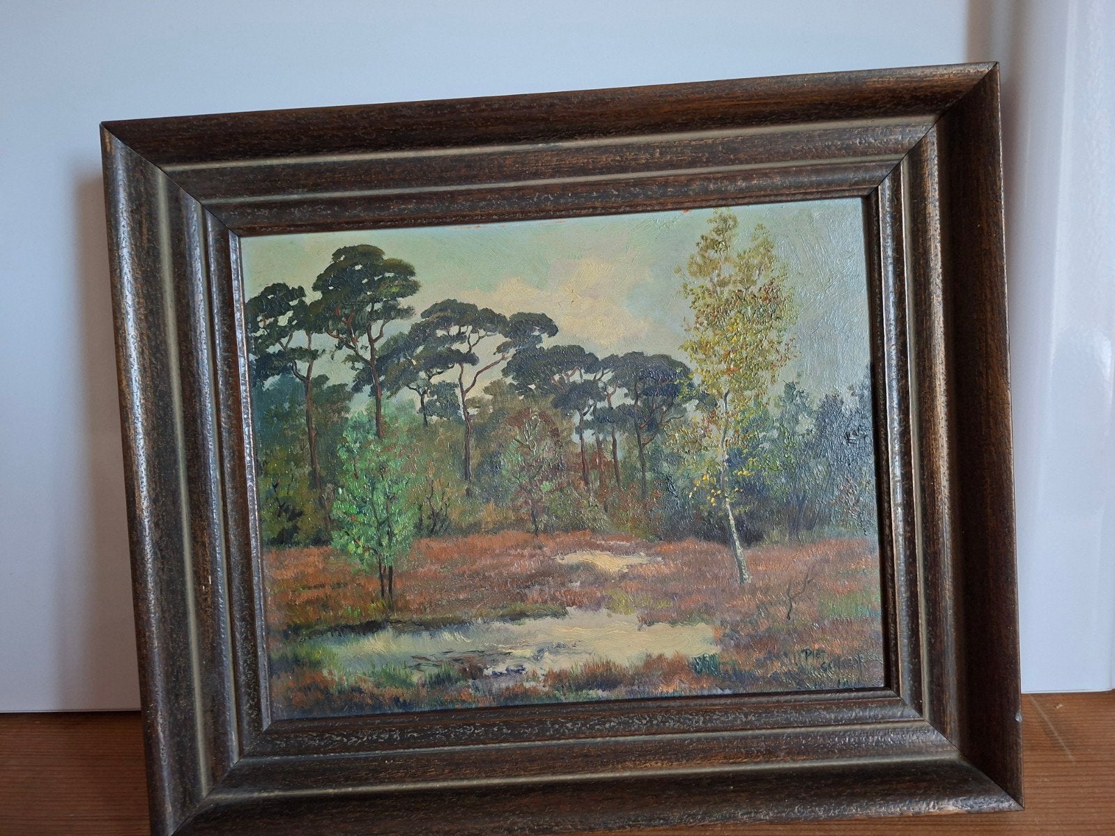 Bosrand met ven Hollandse School 20e eeuw,gesigneerd, Antiek en Kunst, Ophalen, Realistisch, Overige ondergronden, Landschap