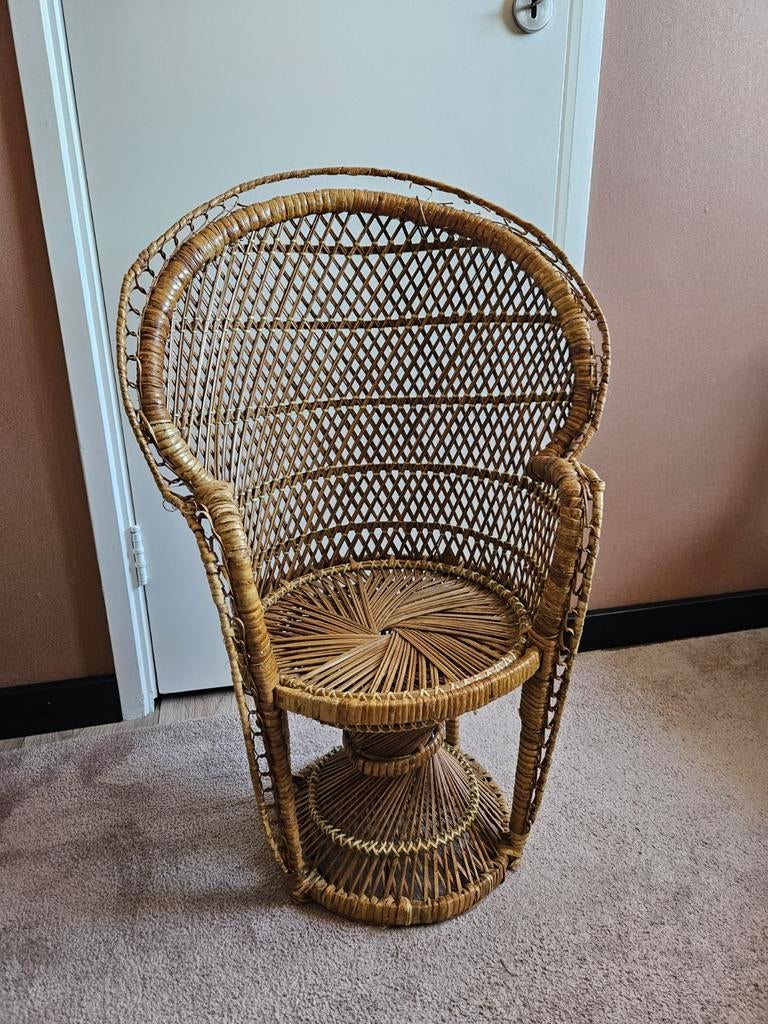 Vintage rotan kindepauwenstoel - perfect voor boho interieur, Ophalen