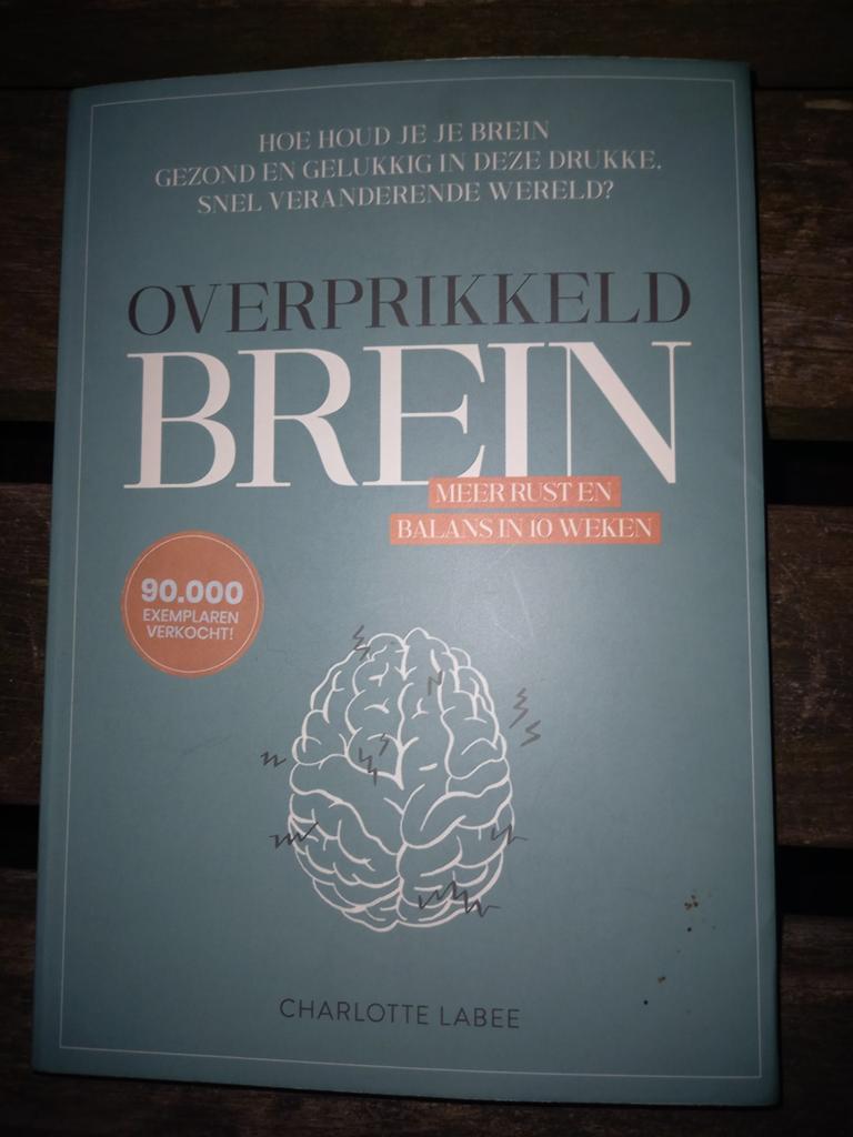 Charlotte Labee - Overprikkeld brein, Ophalen of Verzenden, Zo goed als nieuw, Charlotte Labee