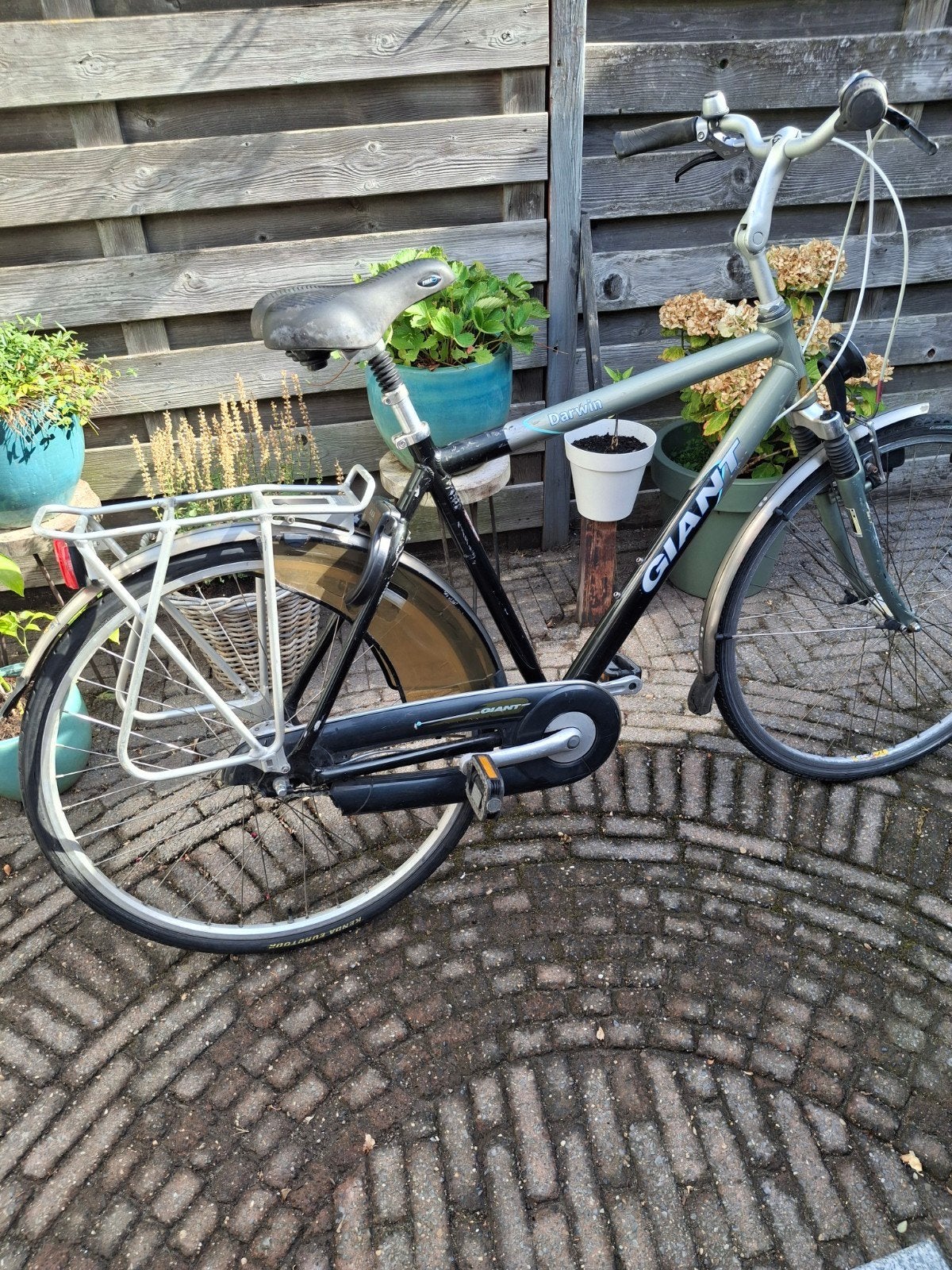 herenfiets Giant Darvin ., Ophalen, Gebruikt, Giant, Versnellingen