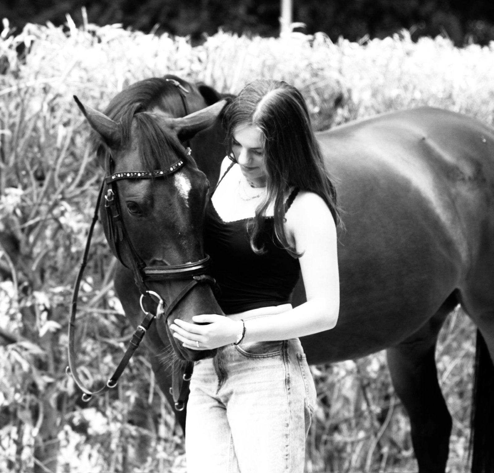 GEZOCHT; lief en braaf paard, Ophalen of Verzenden, Nieuw