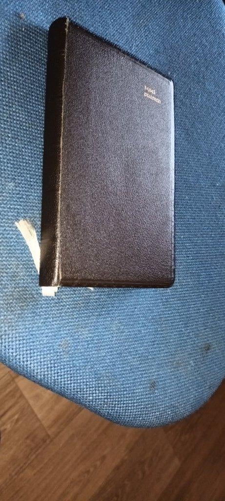 Bijbel/ met psalmen/Zakbijbel in cassette/SV/17x11x2 cm, Ophalen of Verzenden, Gelezen, Christendom | Protestants
