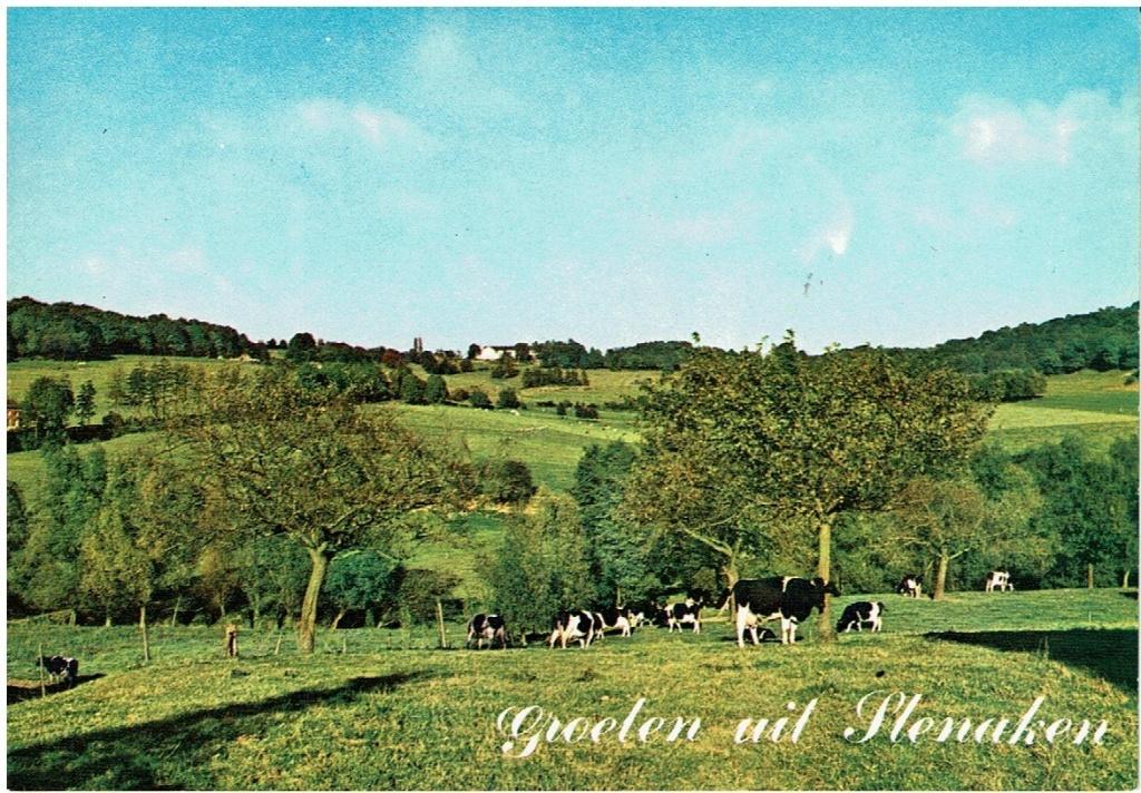 Ansichtkaart Slenaken, Vergezicht vanaf de Grensweg, Ophalen of Verzenden, 1980 tot heden, Limburg