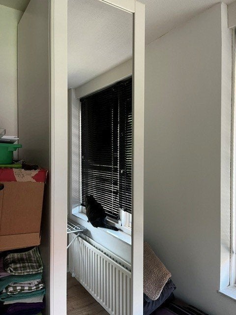 IKEA PAX 50x58x236 met TYSSEDAL spiegeldeur + KOMPLEMENT, Overige materialen, Gebruikt, 200 cm of meer, 50 tot 100 cm