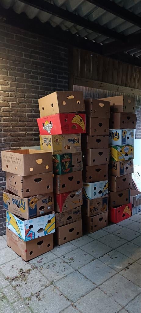 5 bananendozen - Ideaal voor verhuizing of opslag, Doe-het-zelf en Verbouw, Kratten en Dozen, Ophalen, 40 tot 60 cm, 50 tot 75 cm