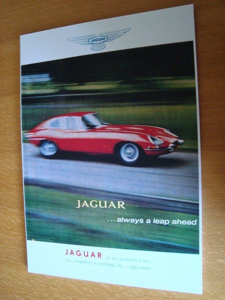 Jaguar plaat 42-30 cm, Ophalen of Verzenden, Nieuw, Auto's