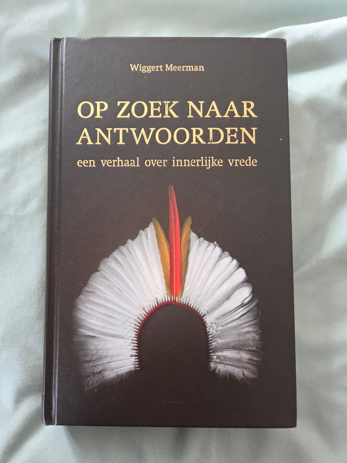 Op Zoek Naar Antwoorden: Een Verhaal Over Innerlijke Vrede, Ophalen of Verzenden
