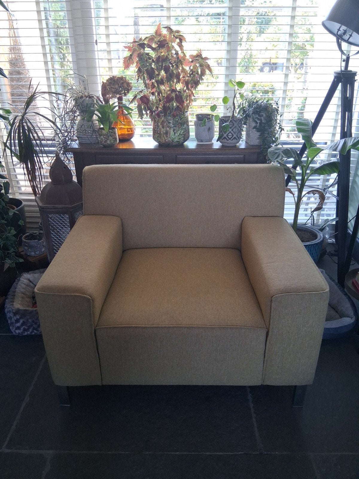 Gratis Montel fauteuil, Huis en Inrichting, Ophalen, Gebruikt, 75 tot 100 cm, 50 tot 75 cm