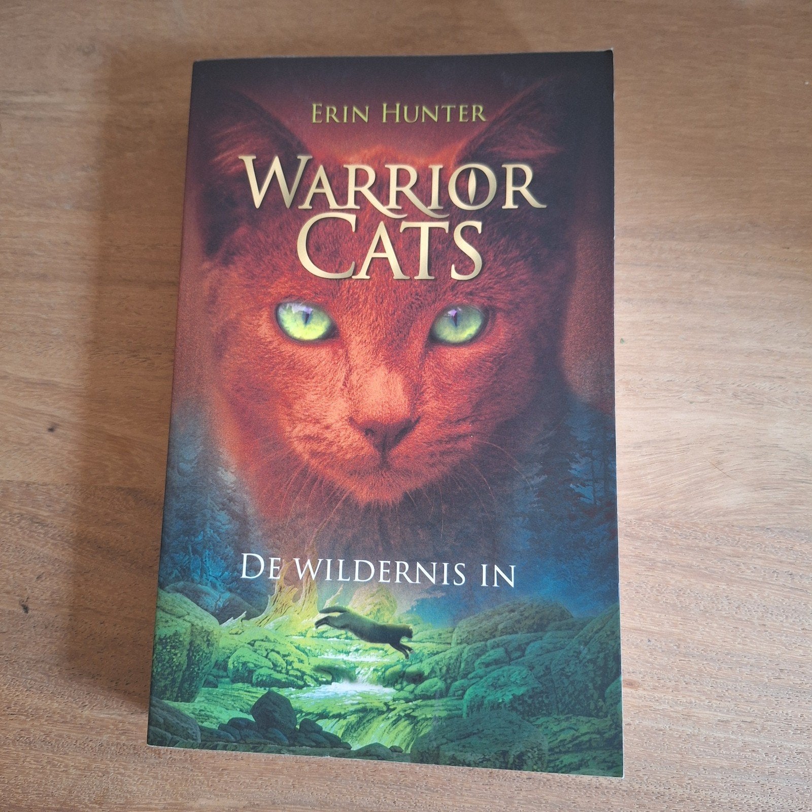 Warrior cats - De wildernis in - Erin Hunter, Ophalen of Verzenden, Zo goed als nieuw, Erin Hunter