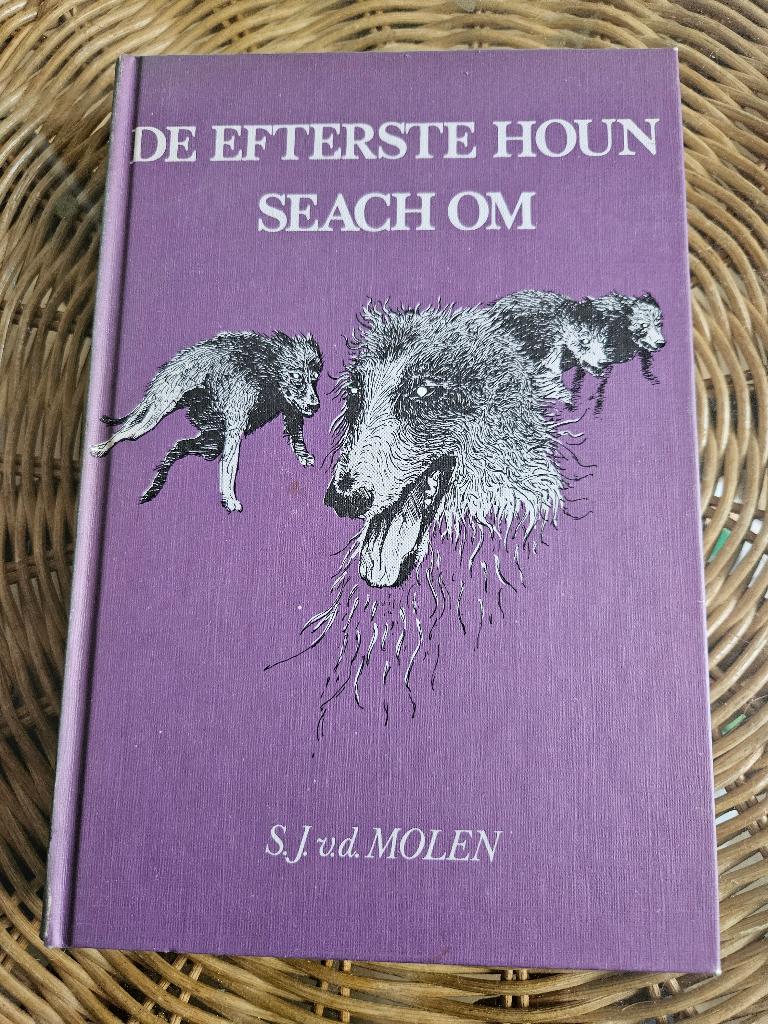 De efterste houn seach om door S.J. van der Molen, Boeken, Ophalen of Verzenden, Gelezen