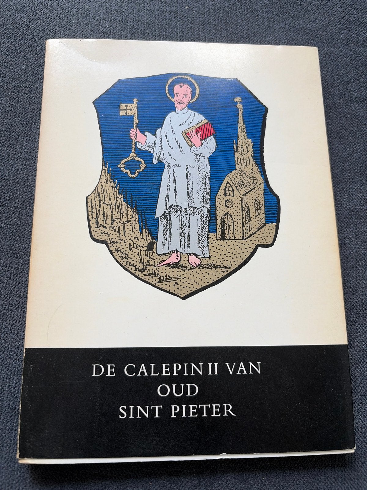 De Calepin II van Oud Sint Pieter - Historisch Boek, Ophalen of Verzenden, Gelezen, Christendom | Katholiek
