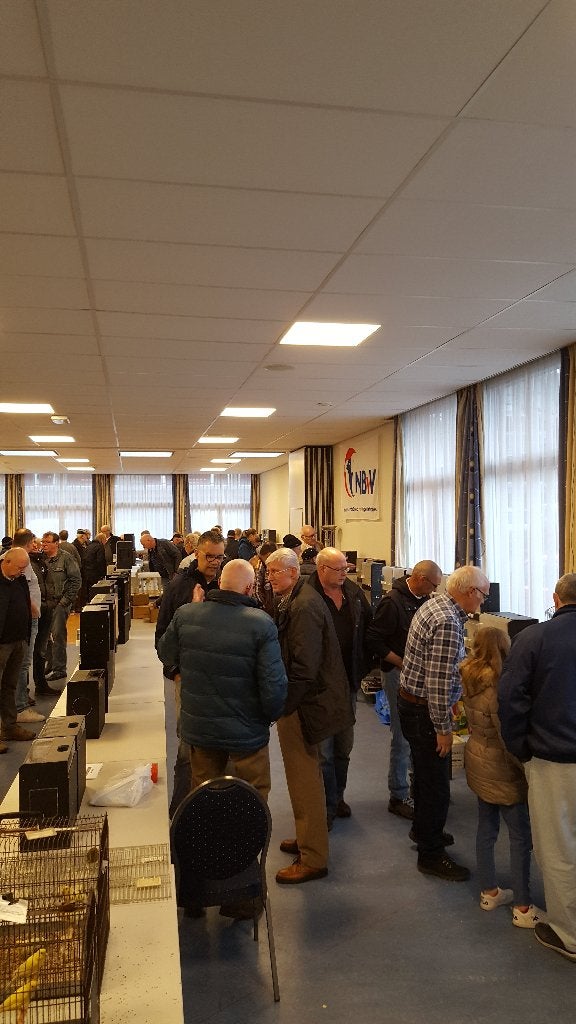 Vogelbeurs Soester Vogelvrienden, Meerdere dieren, Tropenvogel, Geringd
