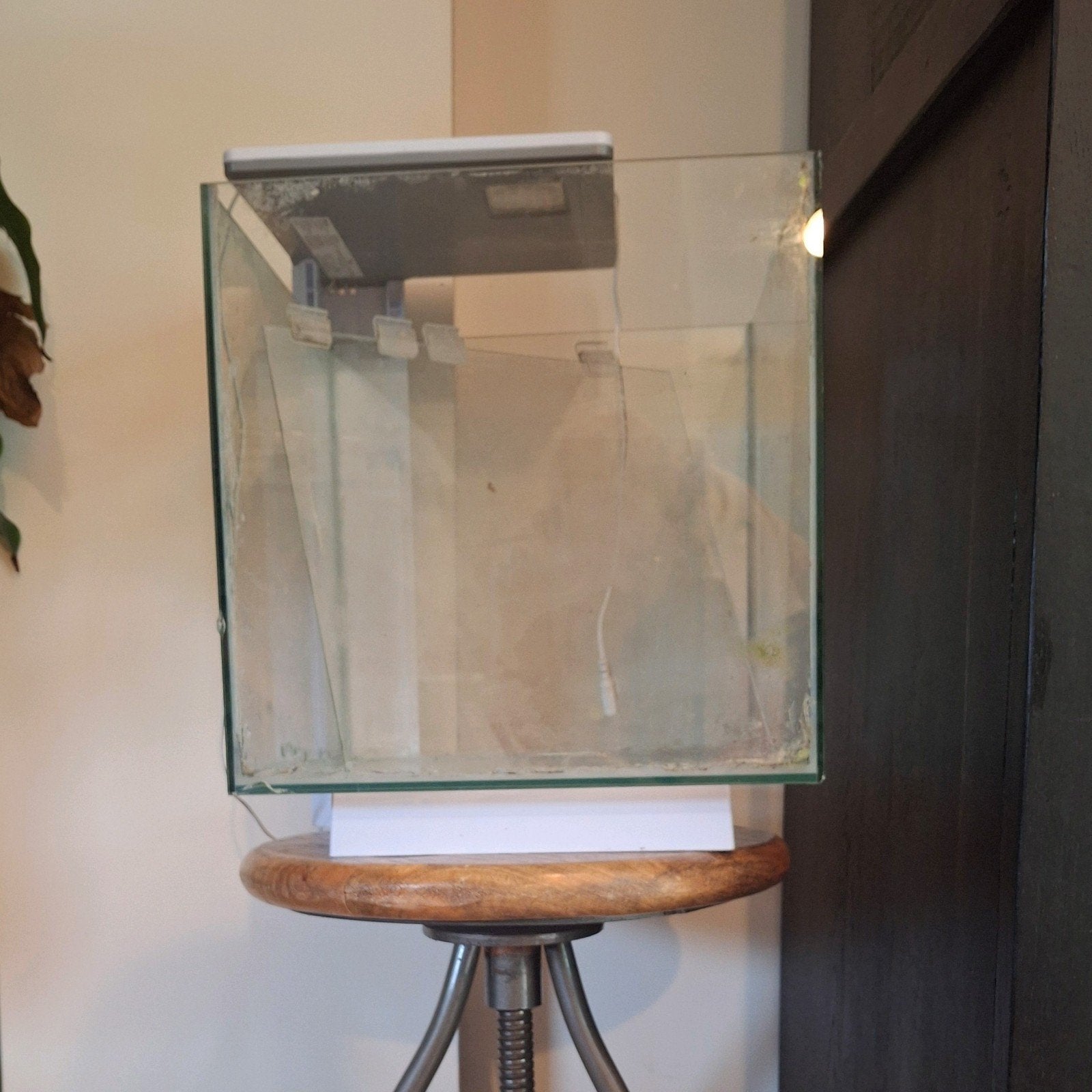 glazen aquarium, Dieren en Toebehoren, Ophalen, Inclusief deksel, Leeg aquarium