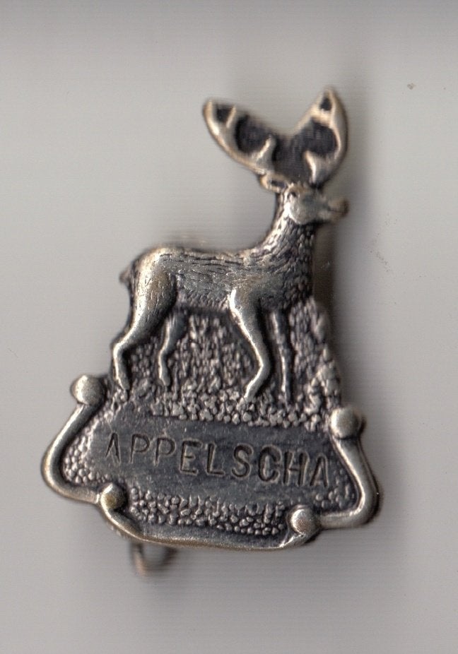 Appelscha Hert broche, Gebruikt, Niet vindbaar, Niet vindbaar, Speldje of Pin