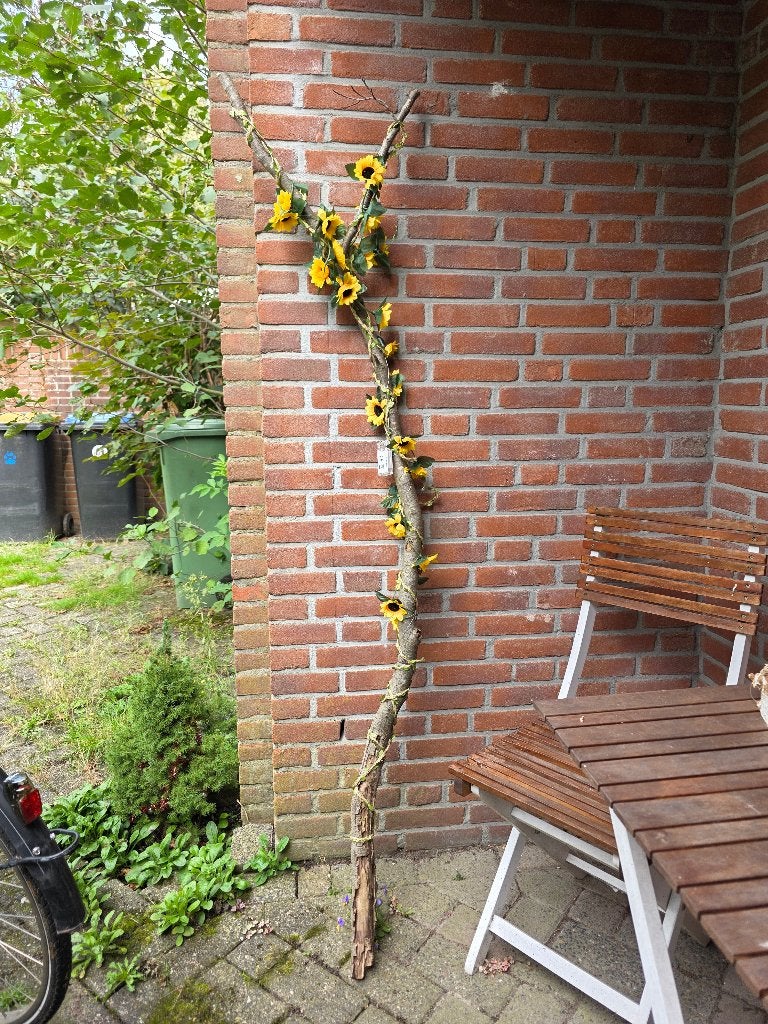 Stok, als staf te gebruiken, Ophalen, Gebruikt, Hout, Overige typen
