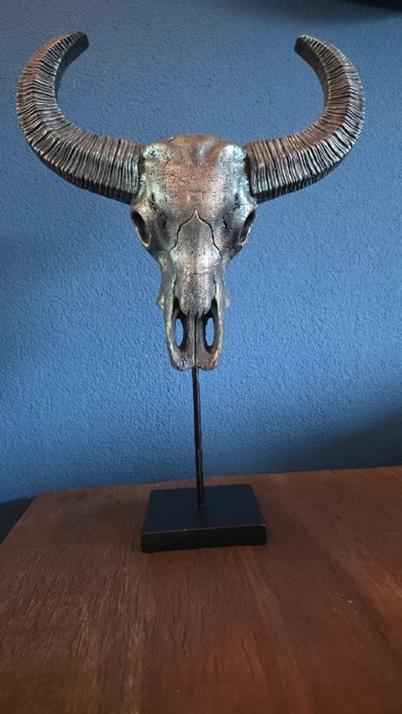 Grote stoere stierenschedel op standaard, Ophalen, Industrieel, 55 cm, Meerkleurig