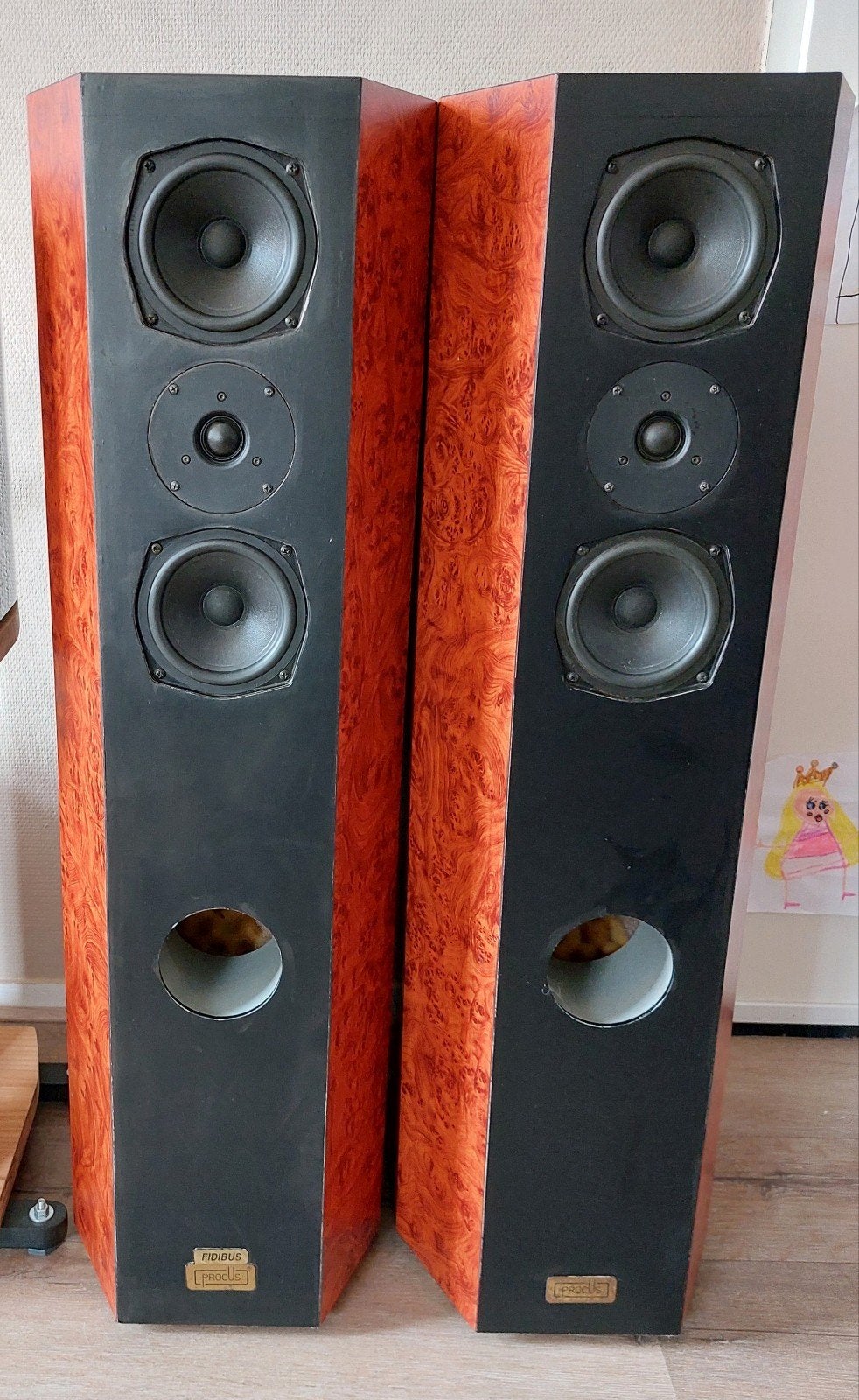 imposante set luidsprekers (Dr Hubert ), Audio, Tv en Foto, Luidsprekers, Gebruikt, 120 tot 150 watt, Speakerset, Ophalen
