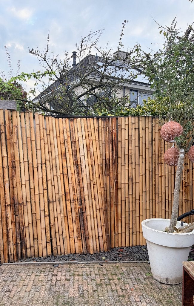 Bamboe schutting 200x180 cm (2 gebruikt, 1 nieuw), Tuin en Terras, Minder dan 3 meter, Ophalen of Verzenden, Hout, 1 tot 2 meter
